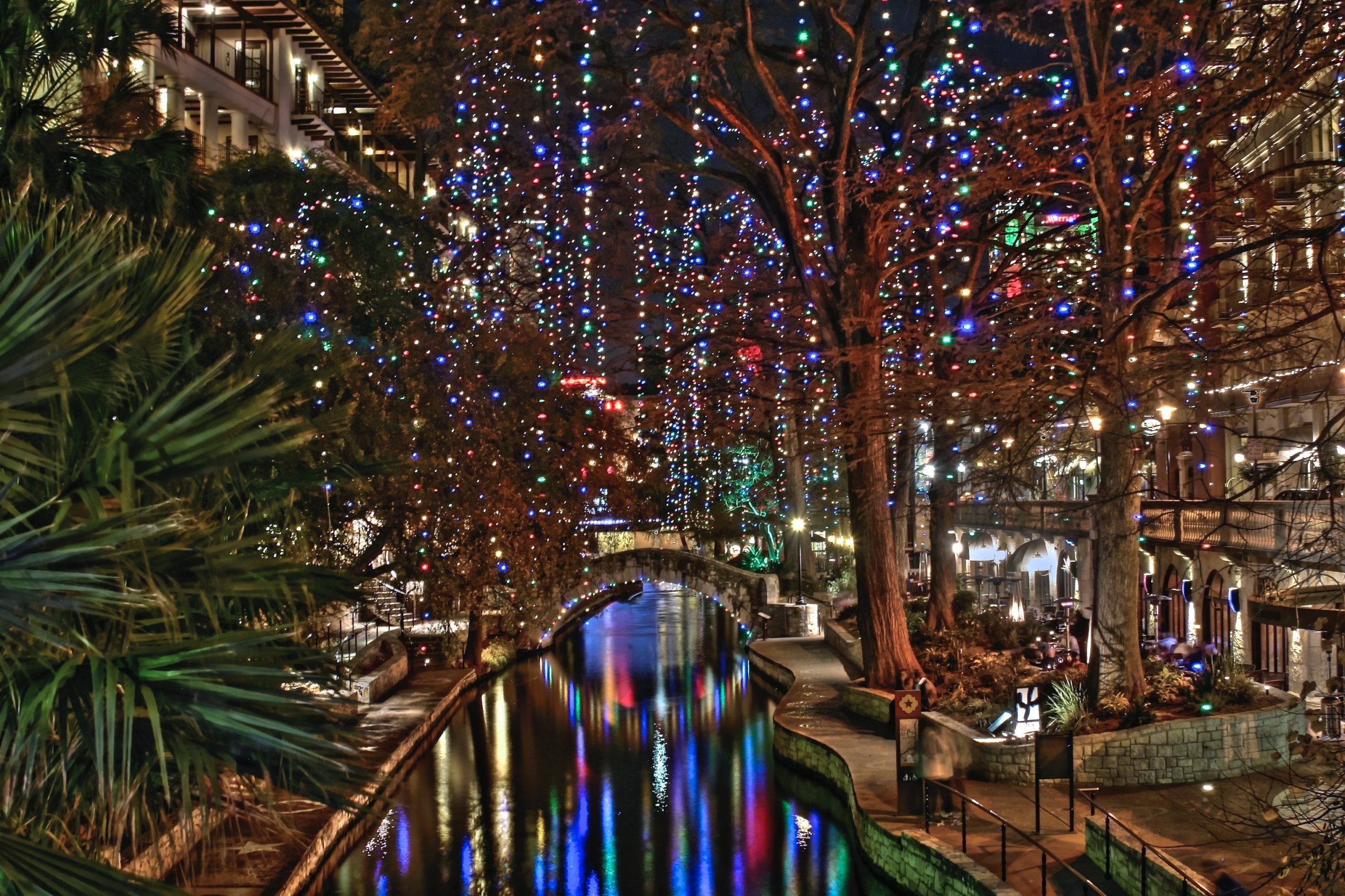 Christmas in San Antonio at the Riverwalk with lights hanging from the trees at night