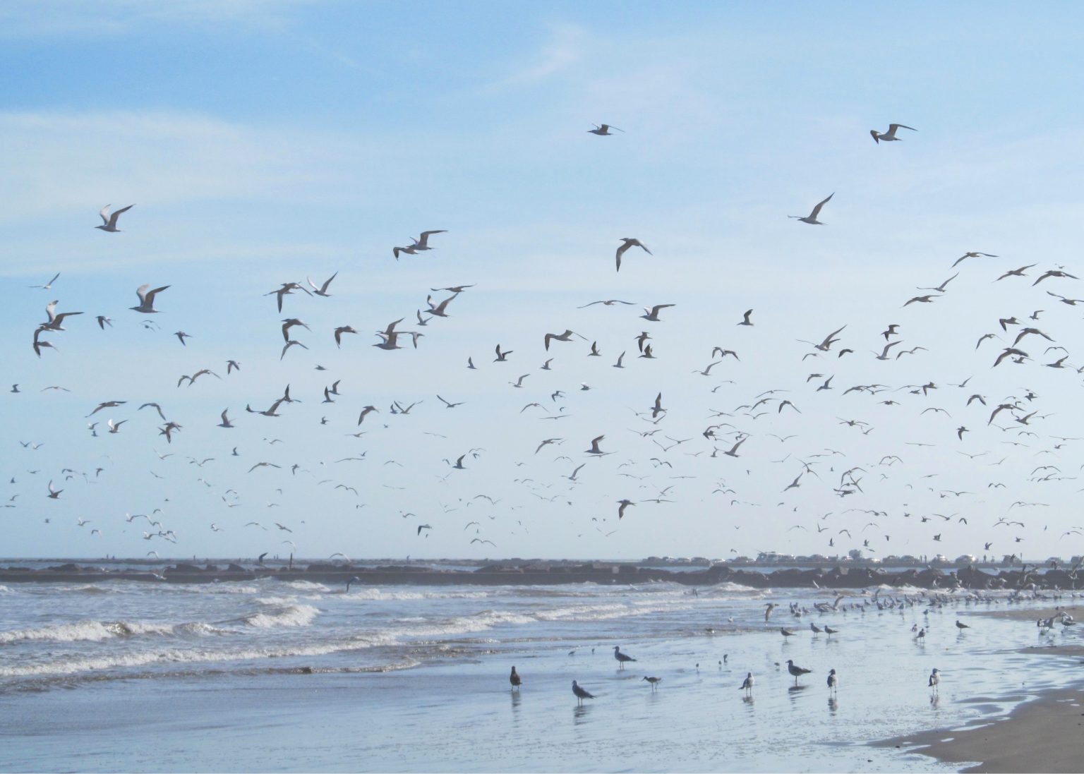 8 Incredible Islands in Texas - Lone Star Travel Guide