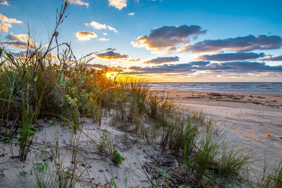 11 Best Beaches in Corpus Christi - Lone Star Travel Guide
