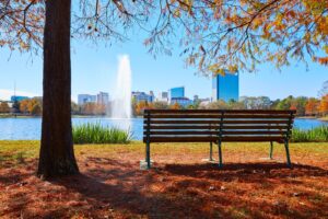 bench in front of mcgovern lake in fall, one of the best lakes in houston tx