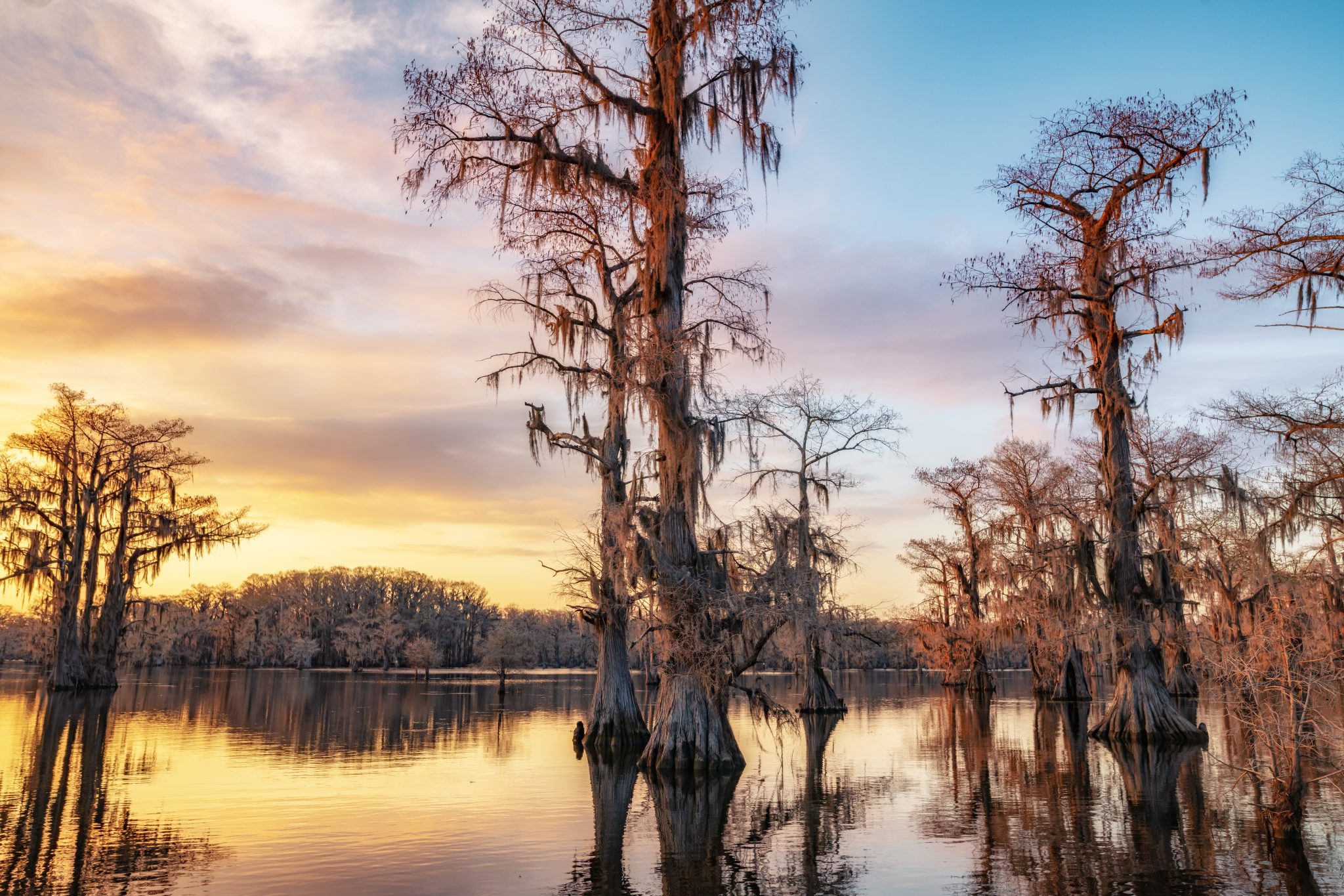 The Ultimate Guide to Caddo Lake State Park, Texas