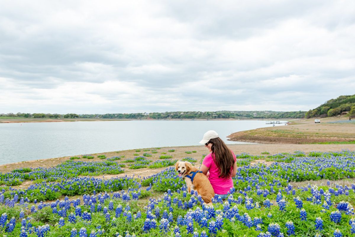 kate storm and ranger storm sitting with bluebonnets in muleshoe bend